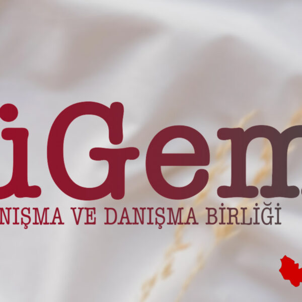 tügem2